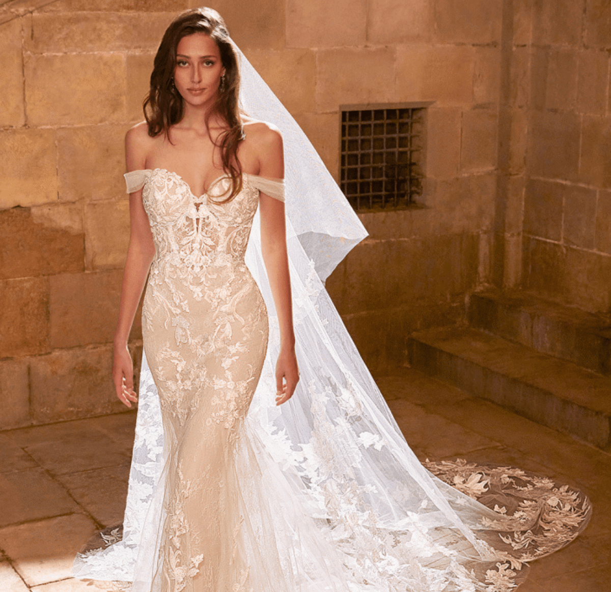 Model Wearing a bridal gown by Etoile by Enzoani