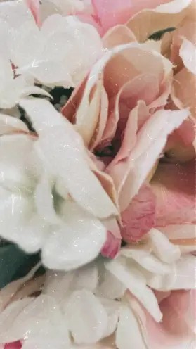 Instagram #7